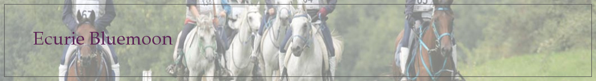 Ecurie Bluemoon